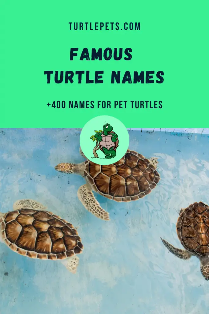 famous turtle names pin