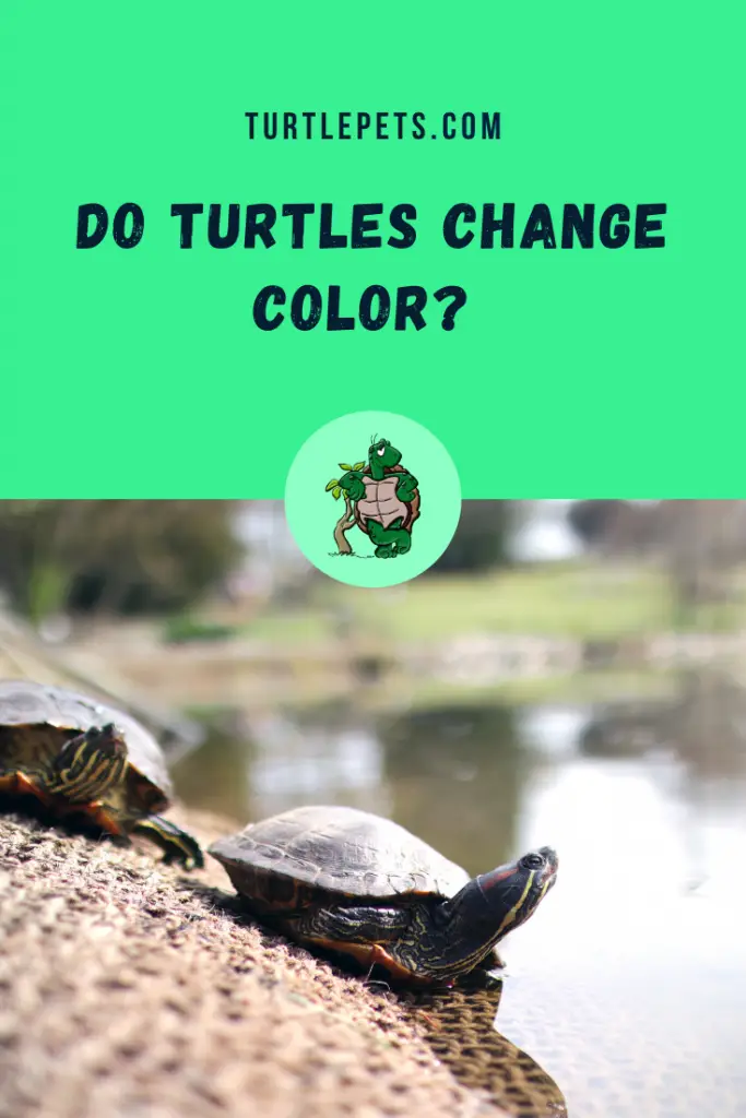 Do Turtles Change Color pin