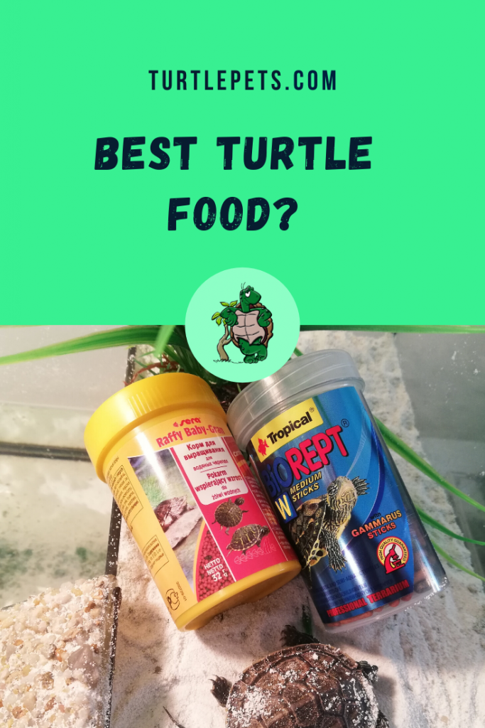 The Best Turtle Food pin