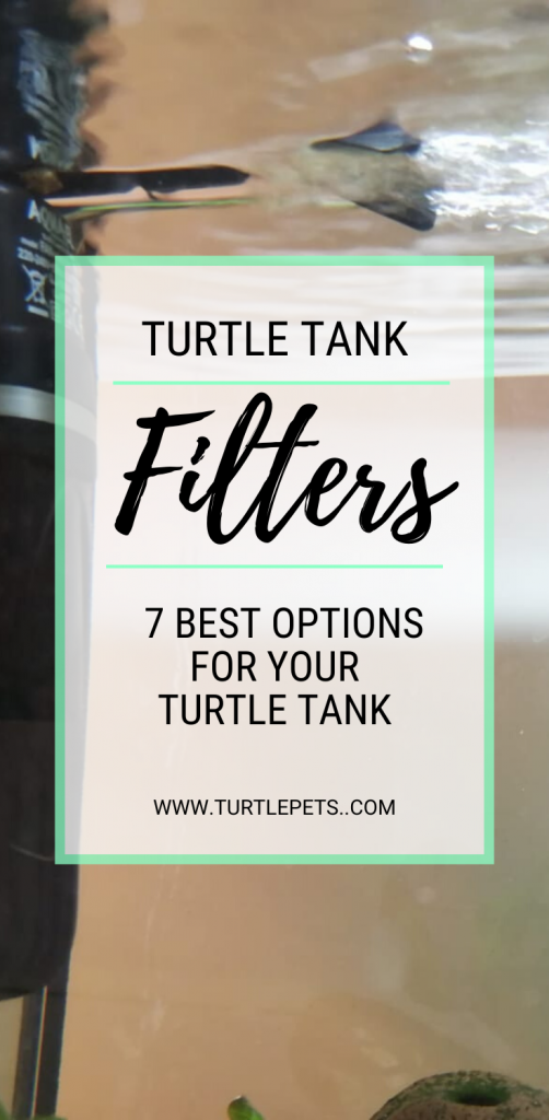 Turtle Tank Filters pin