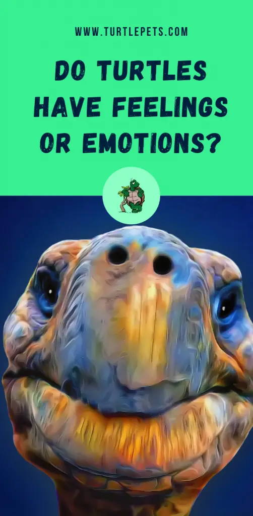 Do Turtles Have Feelings or Emotions pin